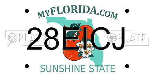 28EICJ Florida License Plate