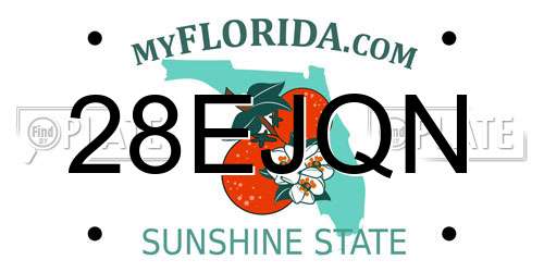 28EJQN Florida License Plate