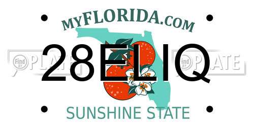 28ELIQ Florida License Plate