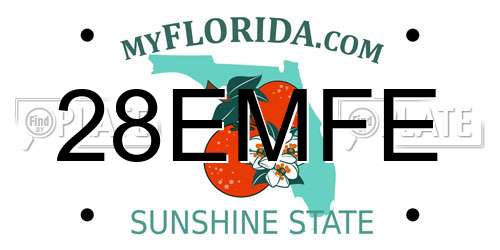 28EMFE Florida License Plate