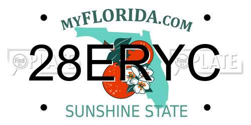 28ERYC Florida License Plate
