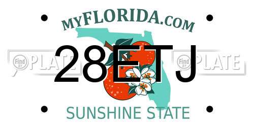 28ETJ Florida License Plate