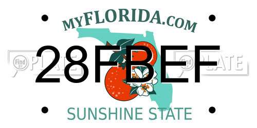 28FBEF Florida License Plate