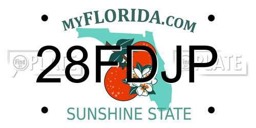 28FDJP Florida License Plate