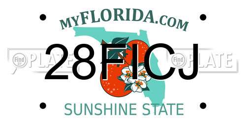 28FICJ Florida License Plate