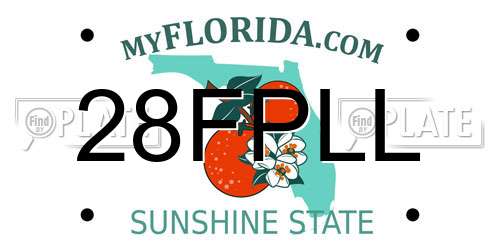 28FPLL Florida License Plate