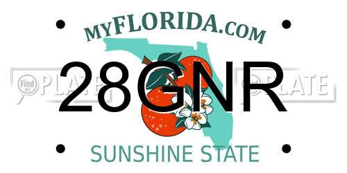28GNR Florida License Plate