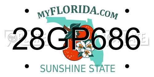 28GP686 Florida License Plate