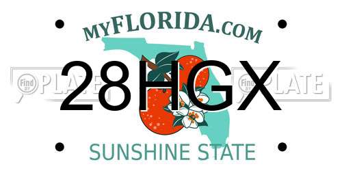 28HGX Florida License Plate