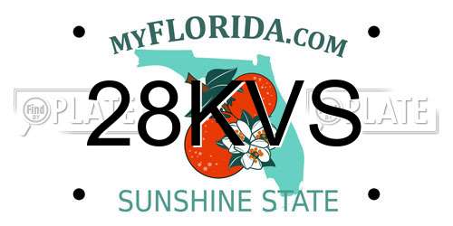28KVS Florida License Plate