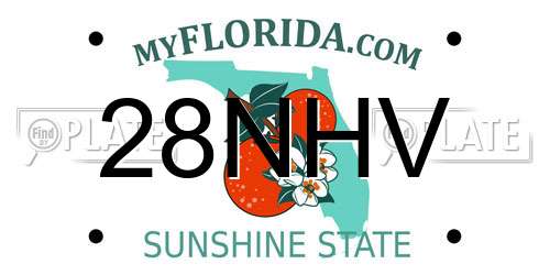 28NHV Florida License Plate
