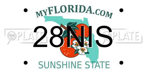 28NIS Florida License Plate