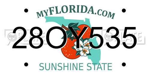 28OY535 Florida License Plate