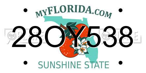 28OY538 Florida License Plate