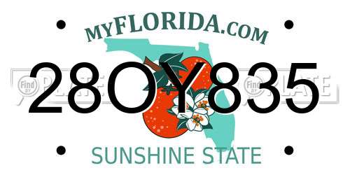 28OY835 Florida License Plate