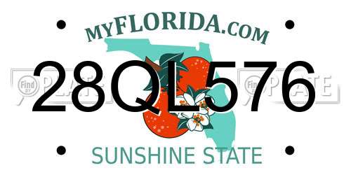 28QL576 Florida License Plate