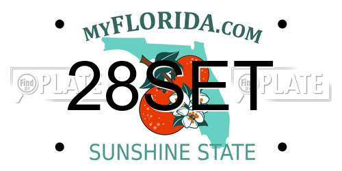 28SET Florida License Plate