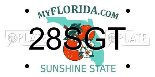 28SGT Florida License Plate