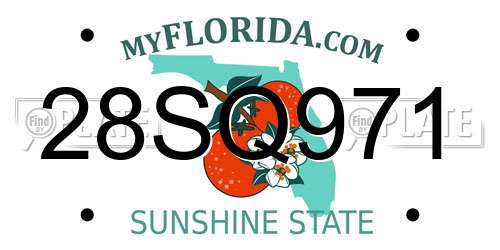 28SQ971 Florida License Plate