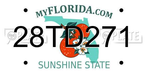 28TD271 Florida License Plate