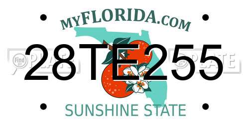 28TE255 Florida License Plate