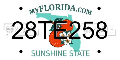 28TE258 Florida License Plate