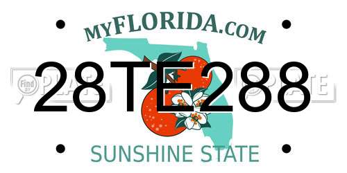 28TE288 Florida License Plate