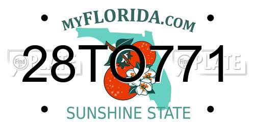 28TO771 Florida License Plate