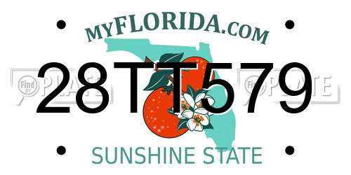 28TT579 Florida License Plate