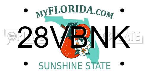 28VBNK Florida License Plate