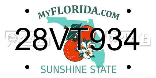 28VT934 Florida License Plate
