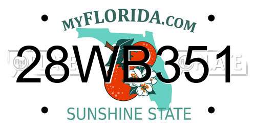 28WB351 Florida License Plate
