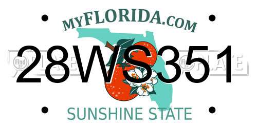 28WS351 Florida License Plate