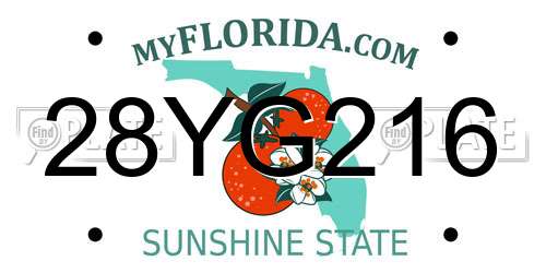28YG216 Florida License Plate
