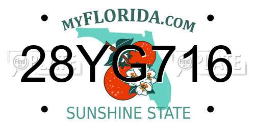 28YG716 Florida License Plate