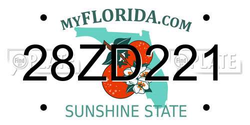 28ZD221 Florida License Plate