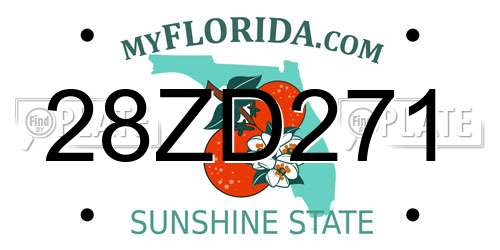 28ZD271 Florida License Plate