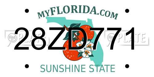 28ZD771 Florida License Plate
