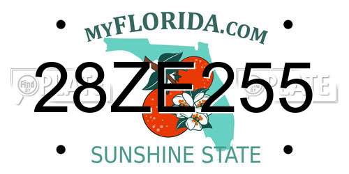 28ZE255 Florida License Plate