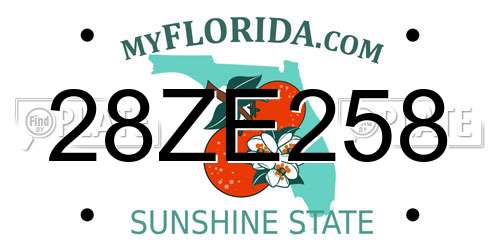 28ZE258 Florida License Plate
