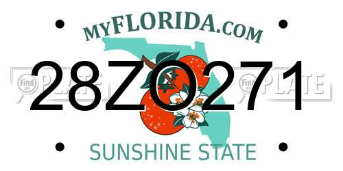 28ZO271 Florida License Plate
