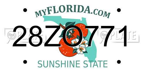 28ZO771 Florida License Plate