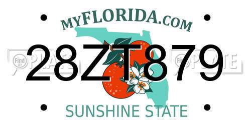 28ZT879 Florida License Plate