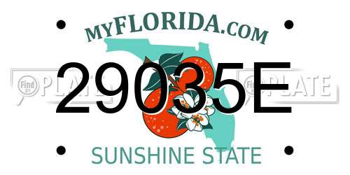 29035E Florida License Plate