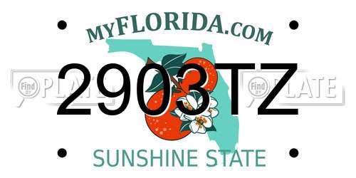 2903TZ Florida License Plate