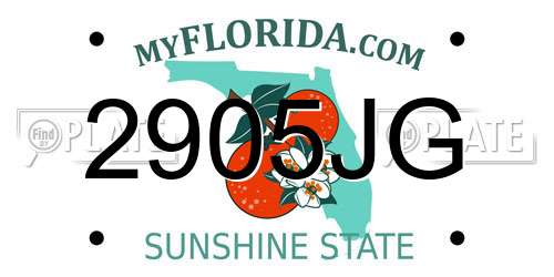 2905JG Florida License Plate
