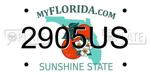 2905US Florida License Plate