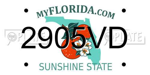 2905VD Florida License Plate