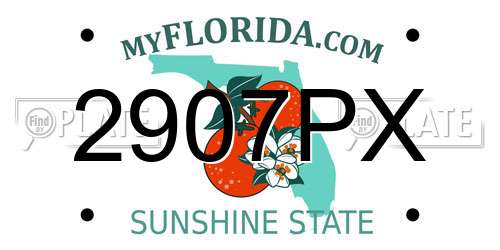 2907PX Florida License Plate