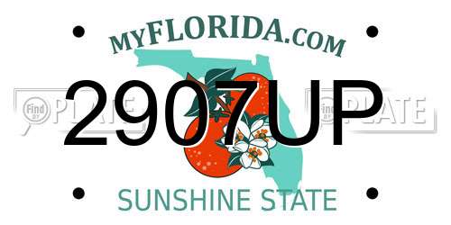 2907UP Florida License Plate